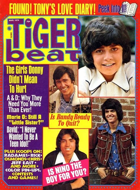 vintage boobs|See 1970s Tiger Beat magazine covers with the top teen stars of。